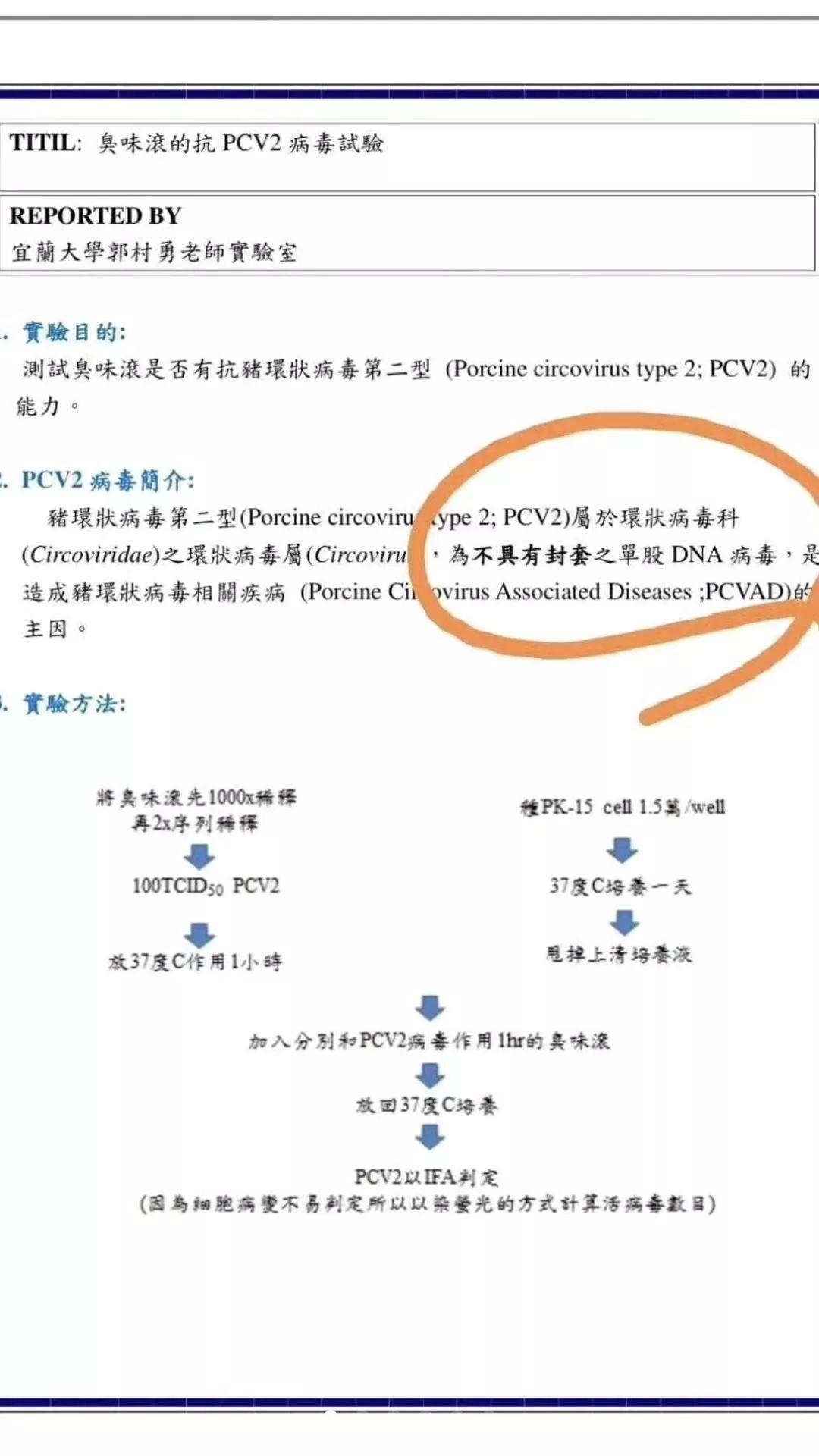 环状病毒最新概述，科学解读及应对策略
