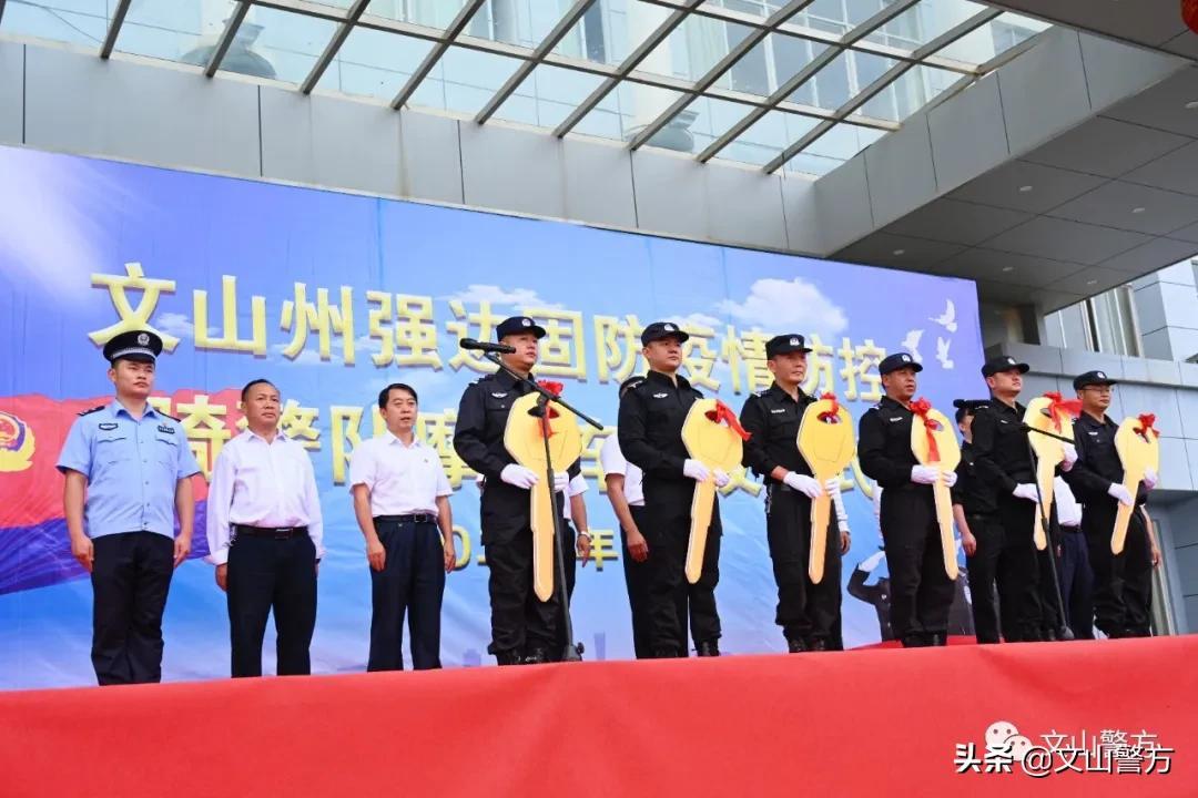 西畴最新疫情全面解读与应对策略