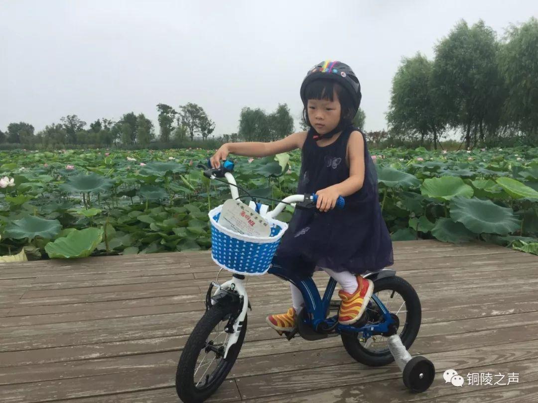 白小姐三期必开一肖,机制评估方案_妹妹版72.959