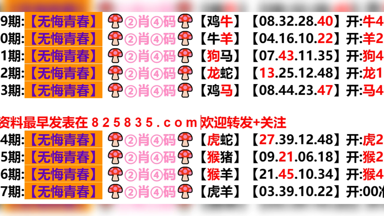 2024澳门六今晚开奖记录113期,安全设计解析说明法_炼脏境85.417