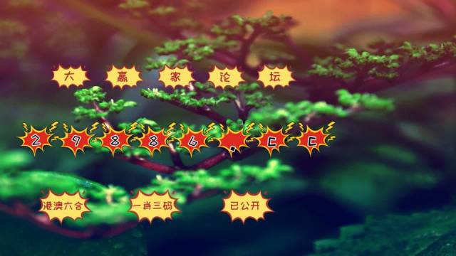 2024年7777788888新版跑狗图,操作实践评估_绝版9.925