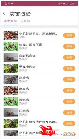 惠泽天下全网资料免费大全,精细评估方案_定向版26.641