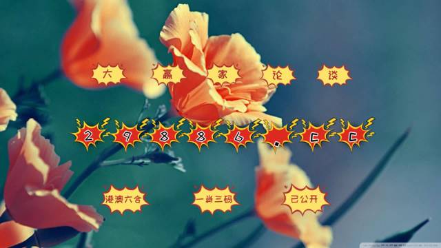 4949开奖免费资料澳门,创新解释说法_月光版73.720