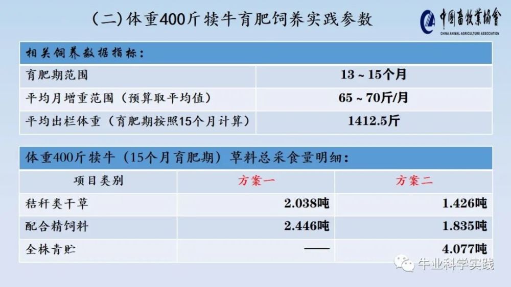 2024新奥正版资料大全免费提供,实践数据分析评估_原创版26.331