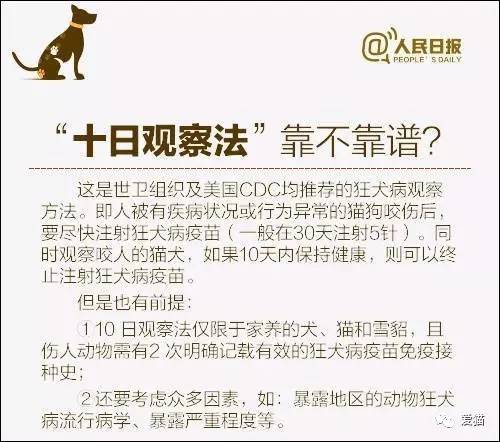 2024年澳门正版资料全年灬,实地观察解释定义_美学版4.525