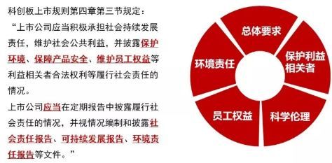 494949澳门今晚开什么454411,实用性解读策略_自由版90.819