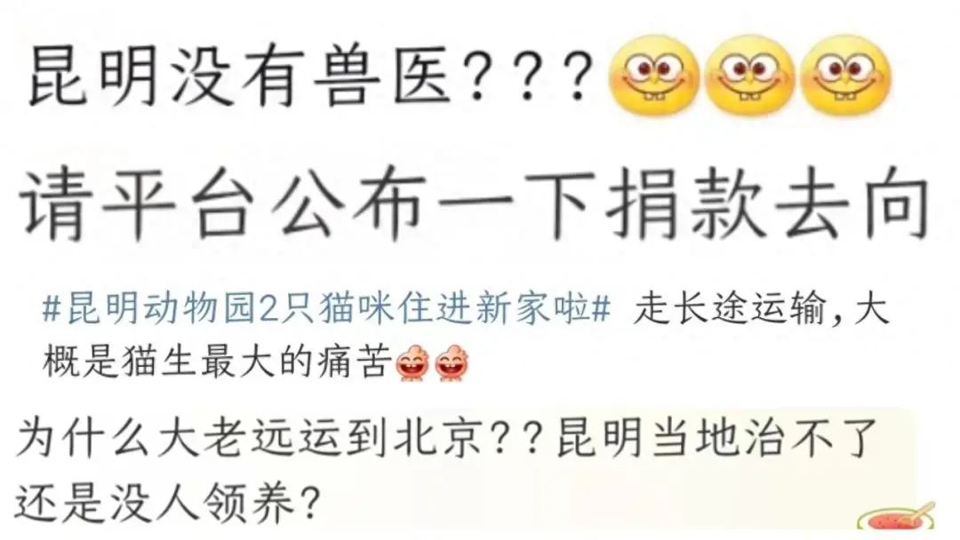 吕四华峰最新招聘信息揭秘，小巷特色小店的职场奇遇