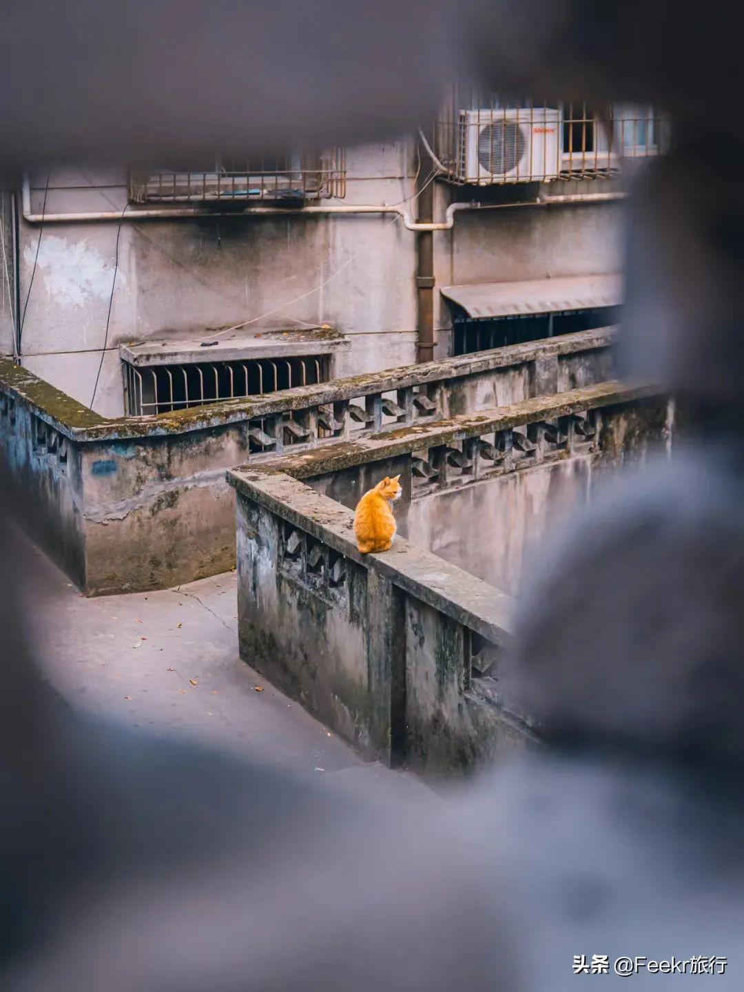 望和新城三期最新动态小红书分享,城市新篇章的开启🏢🌆