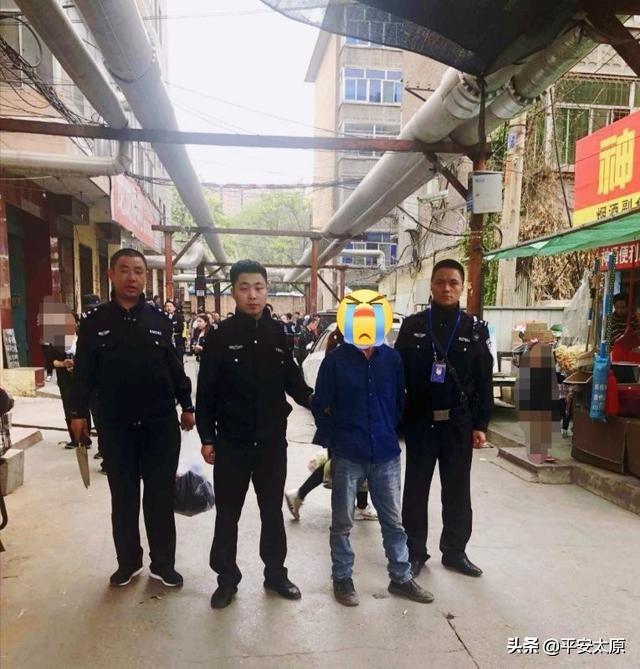 北京老虎伤人事件最新进展与小巷独特小店探秘
