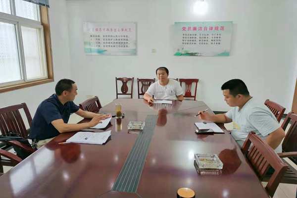 庐江县白山镇最新新闻及获取指南