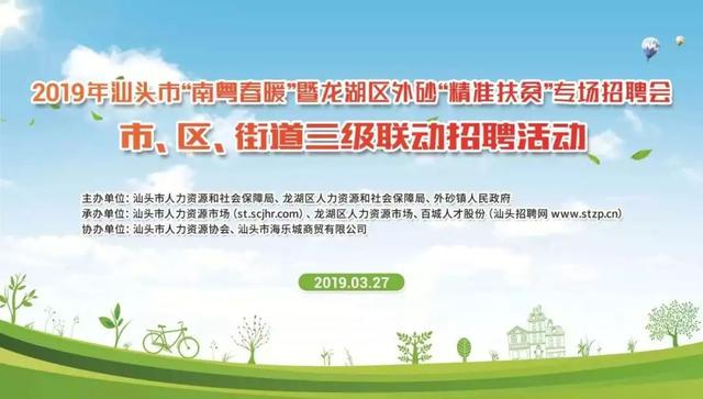 滨州幼儿园招聘启事，新旅程的友情萌芽与温馨故事