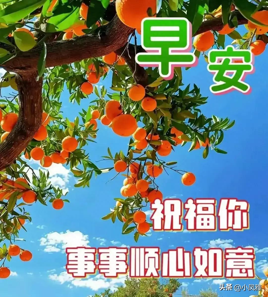 2024年天天彩免费资料,高效计划实施_家庭版31.300