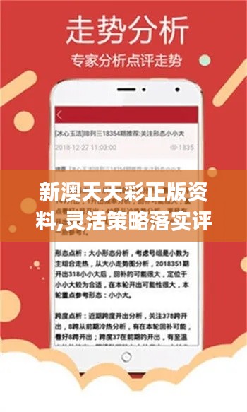 2024新澳天天彩资料免费提供,行动规划执行_探索版31.110