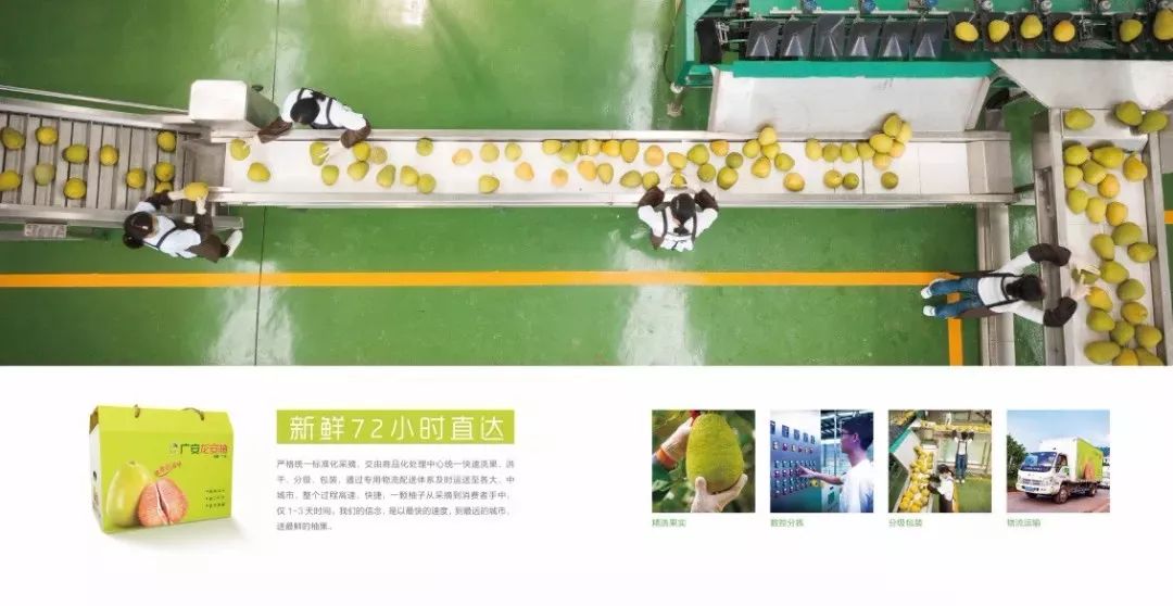 7777788888新版跑狗,农业工程_多元文化版16.504
