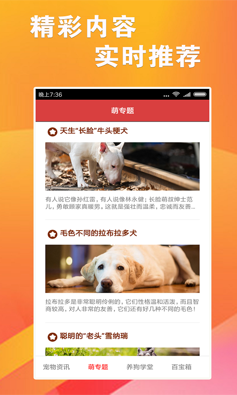 7777788888精准跑狗图正版,统计数据详解说明_数线程版16.915