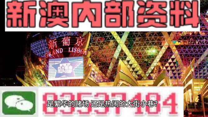 新澳门精准资料大全管家婆料,解析解释说法_外观版16.300