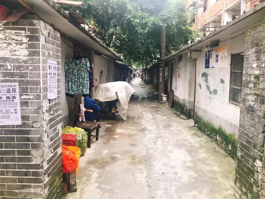 甘肃高考录取最新动态，小巷深处的特色小店成为高考生的新发现！