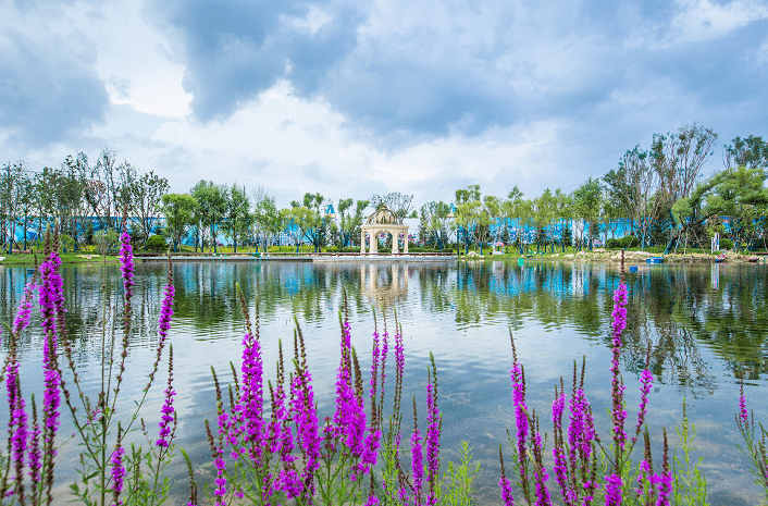 十里锦城业主论坛，探索自然美景，寻找内心平和之旅