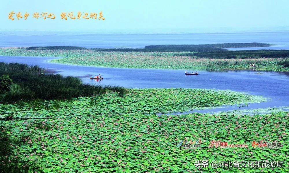 书法艺术中心 第262页