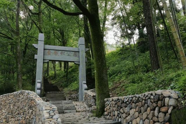 最新蔬菜价格揭秘,小巷深处的蔬菜秘境