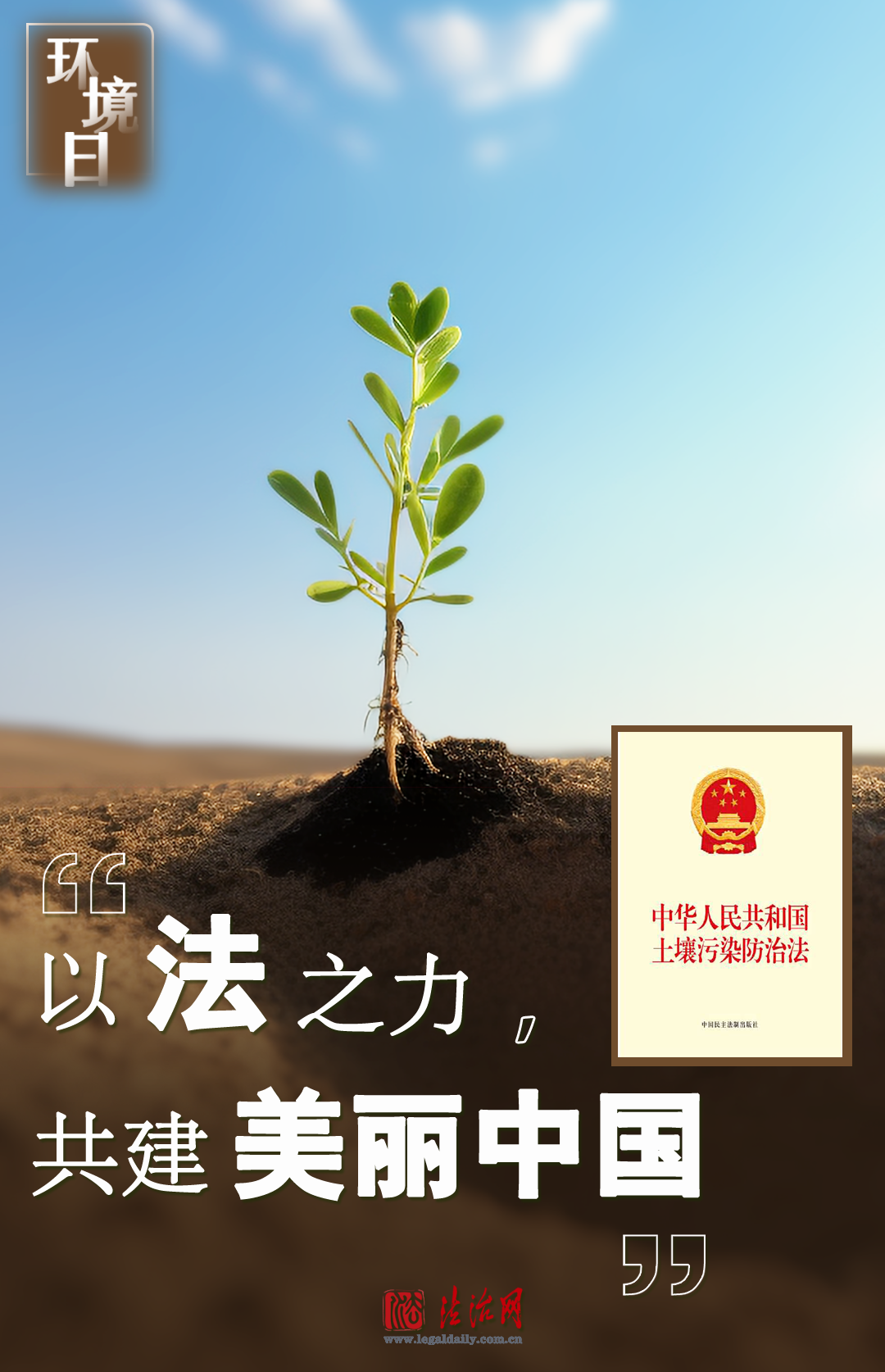 青青青草视频,警惕非法色情内容,维护身心健康与社会道德