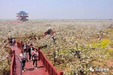 冠县贴吧最新消息速递,探索冠县新鲜事与发展动态