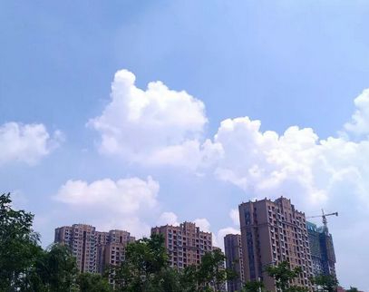 冠县贴吧最新消息速递,探索冠县新鲜事与发展动态