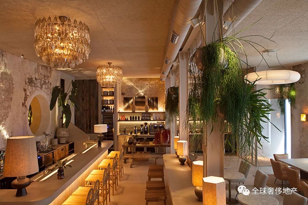 最新餐顶,引领餐饮革新的深度探讨