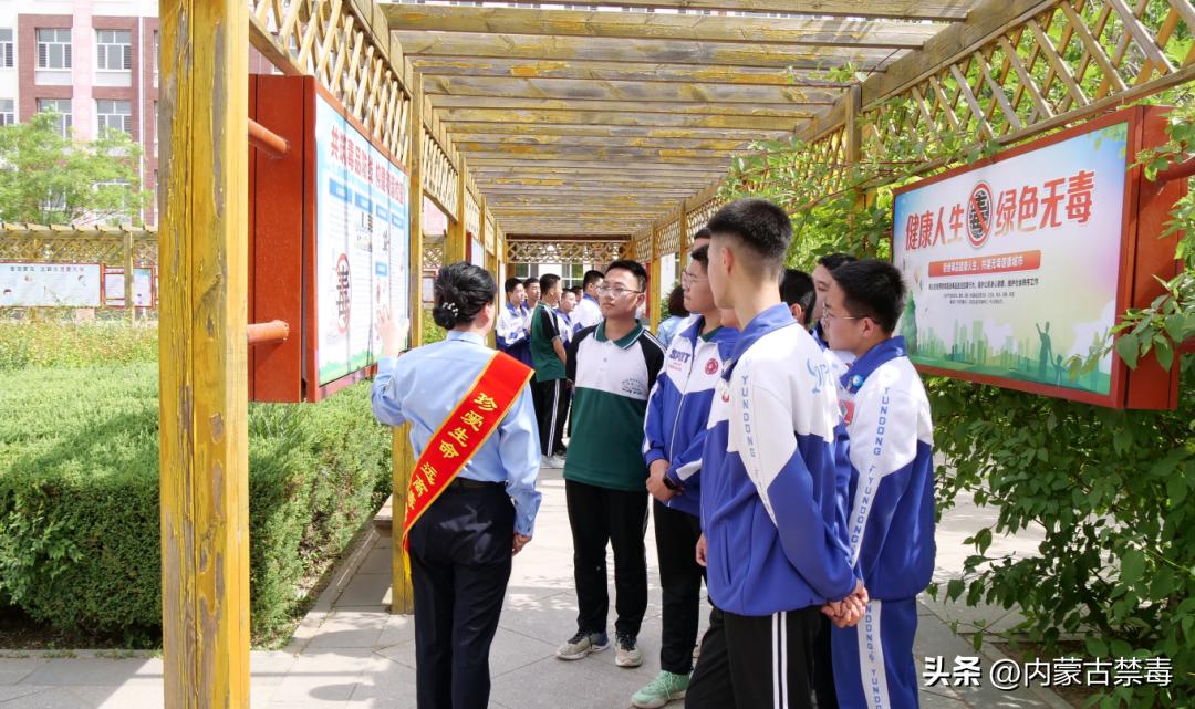 今日通辽新闻概览,城市发展的多维度观察与深度解析