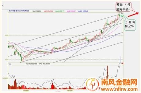 淄博玉米价格最新行情及分析概览