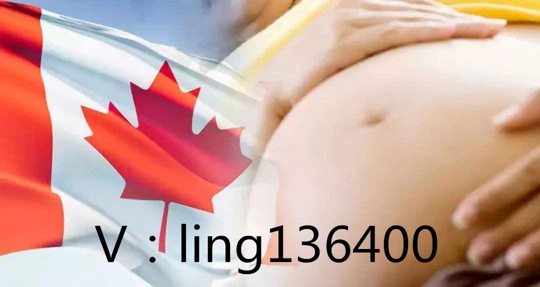 加拿大生子最新政策解读