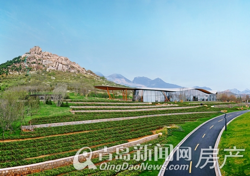 黄岛区灵山卫最新规划揭秘,小巷深处的意外发现
