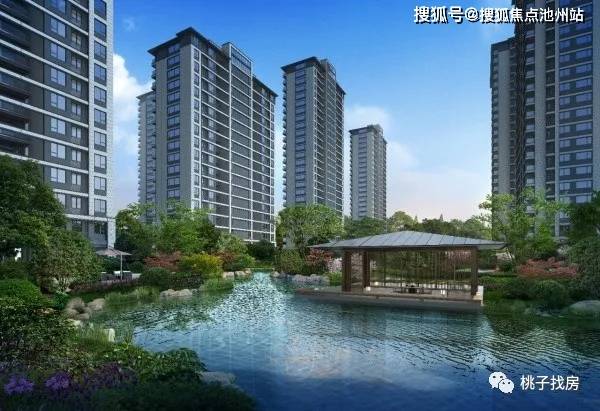 桐庐桐城府最新动态及信息获取步骤指南