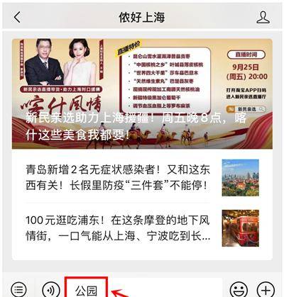 上海大碇电脑最新招聘，探索自然美景，寻求内心平和的职场之旅