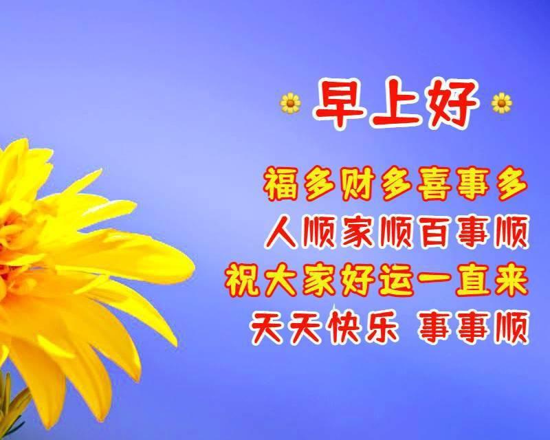 天天来战官网最新公告,天天来战官网最新公告，友情与冒险的温馨故事