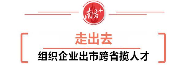 清远最新招聘信息全面解析，多维度视角下的观点阐述