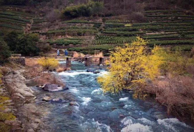 通山最新二手房信息与自然探索之旅,探寻内心平静的旅行目的地