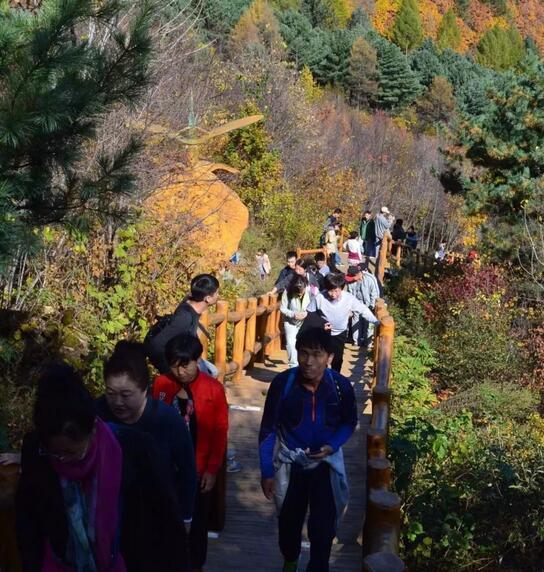 鹤岗高铁最新动态,秋日旅程故事开启,李明与好友们的温馨之旅