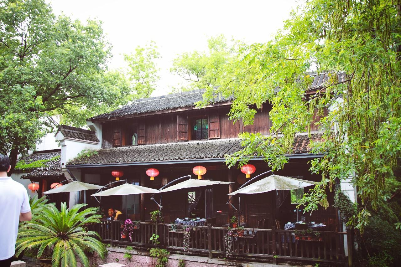 方岛湿地公园探秘，小巷绿意与隐藏特色小店最新消息